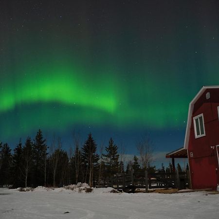 Apartmán The Big Red Barn Whitehorse Exteriér fotografie